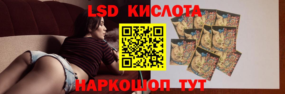 Codein Котовск