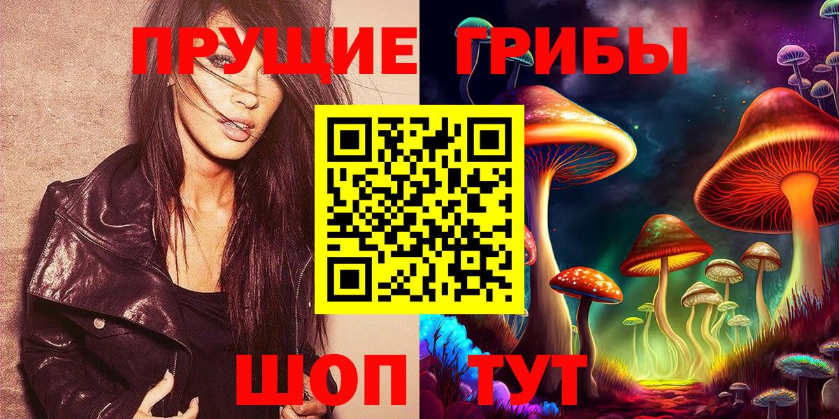 Котовск  Псилоцибиновые грибы прущие грибы  Вход с VPN 